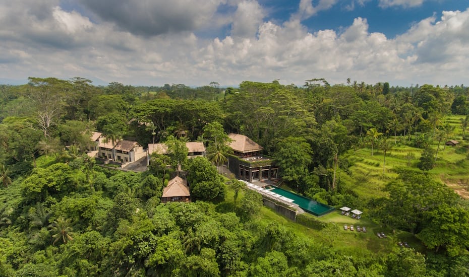 The lush jungle surrounds