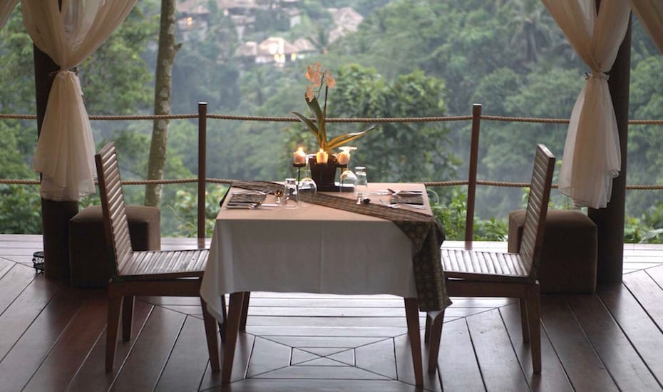 A Table for Two in the Jungle