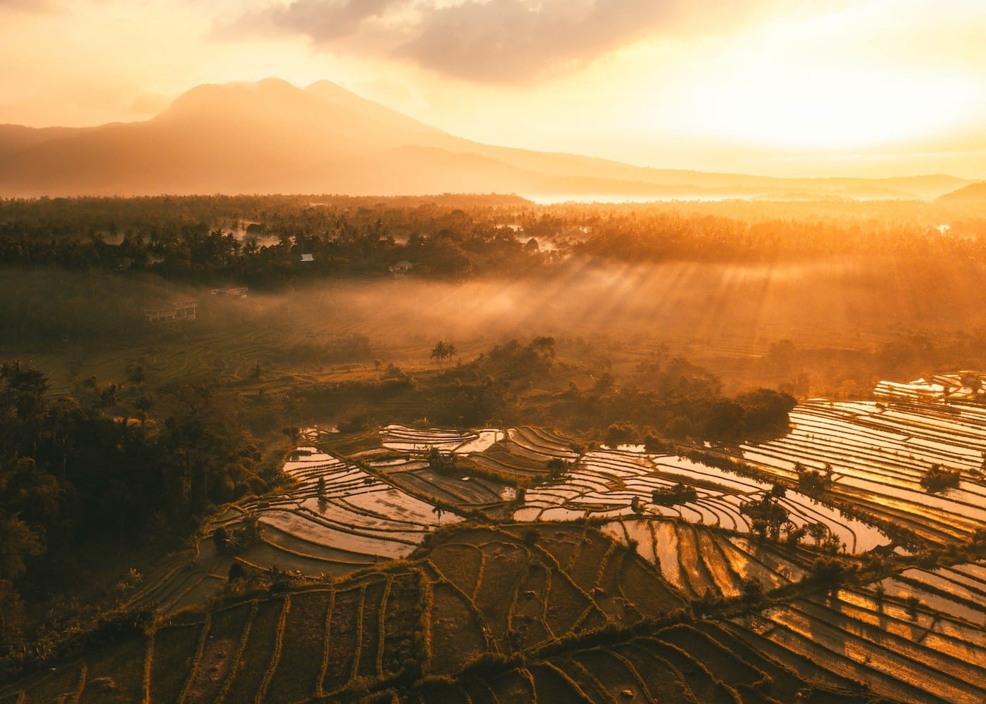 Jatiluwih Rice Terraces - a UNESCO's World Heritage Site - one of the most beautiful places in Bali, Indonesia