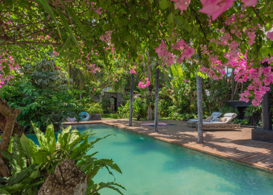 The swimming pool at Villa Rawa Rawa in Lovina, North Bali