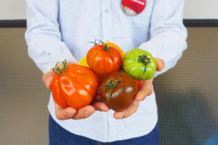 Jou Sun man holding tomatoes