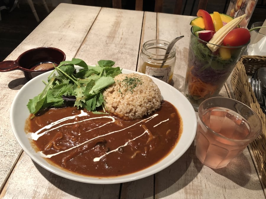 Vegan Vegetarian restaurants in Tokyo Ain Soph.Journey