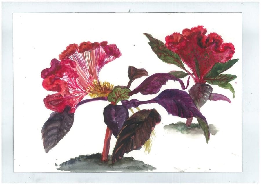 François Olislaeger Exhibition art exhibitions in Hong Kong