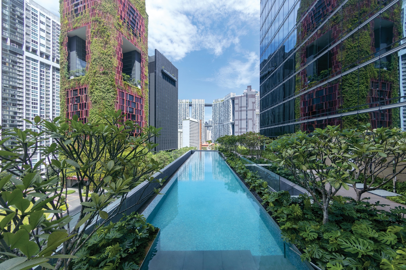 Sofitel Singapore City Centre pool