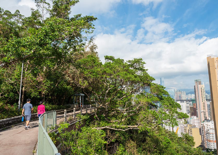 where to go running in Hong Kong Bowen Road