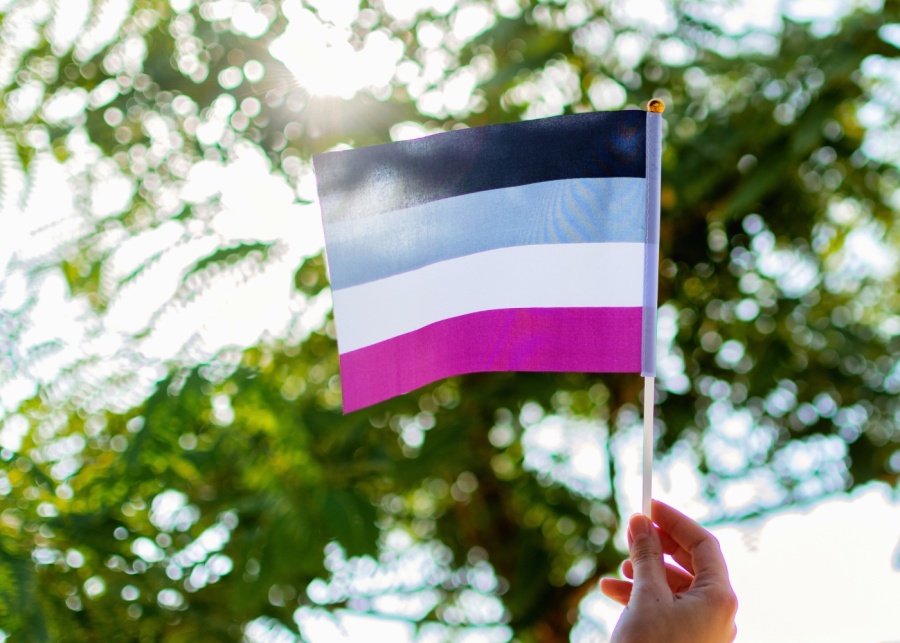 lgbtq plus terms asexual