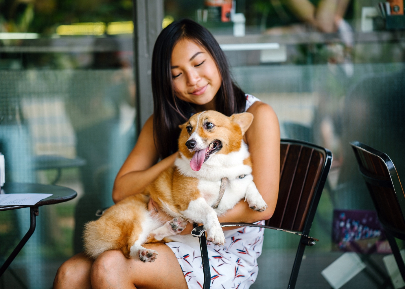 dog friendly cafe restaurant lead image