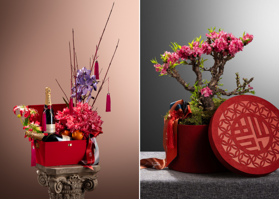 beato fiore - where to buy chinese new year plants in singapore