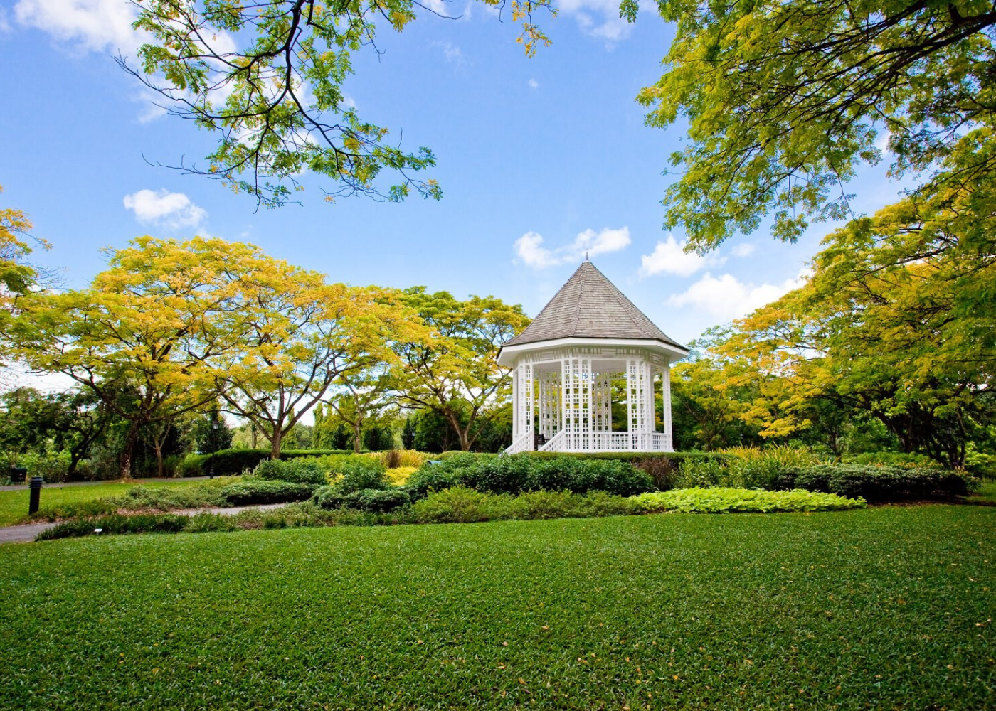 Singapore Botanic Gardens | Bukit timah guide