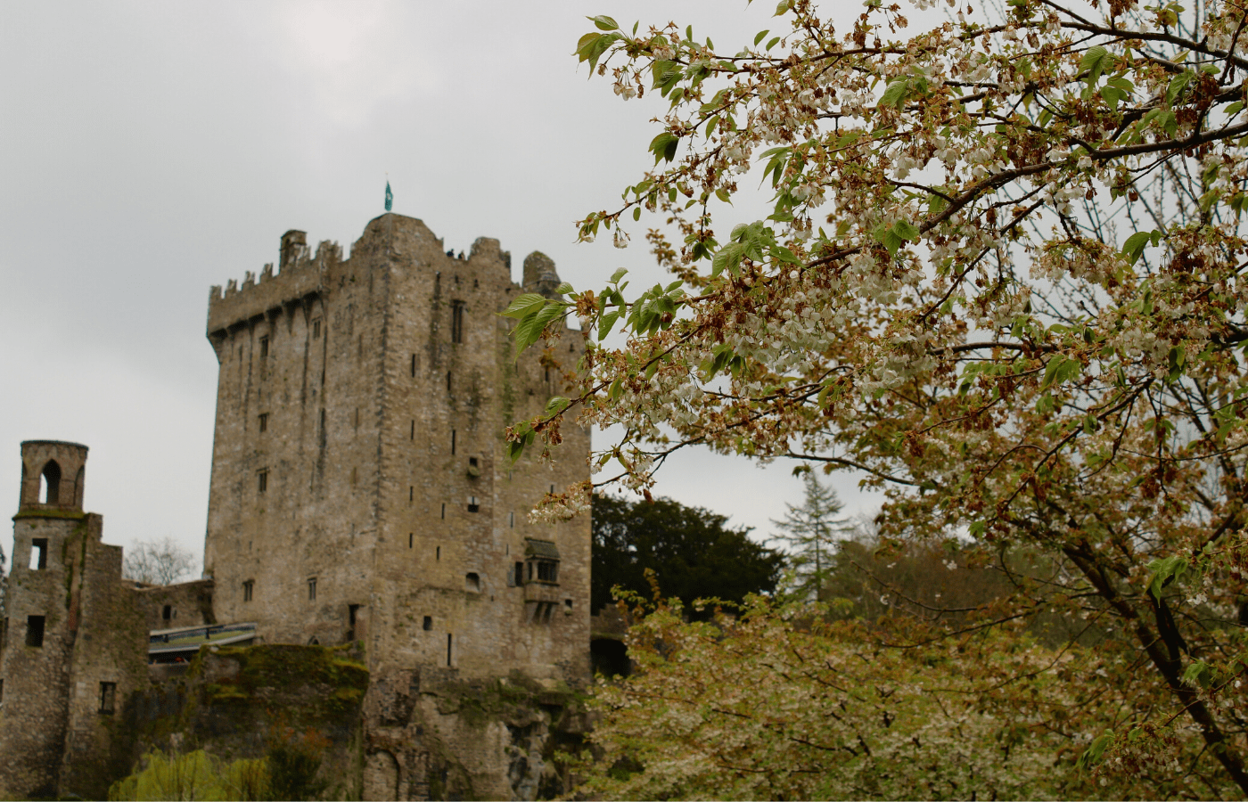 blarney castle