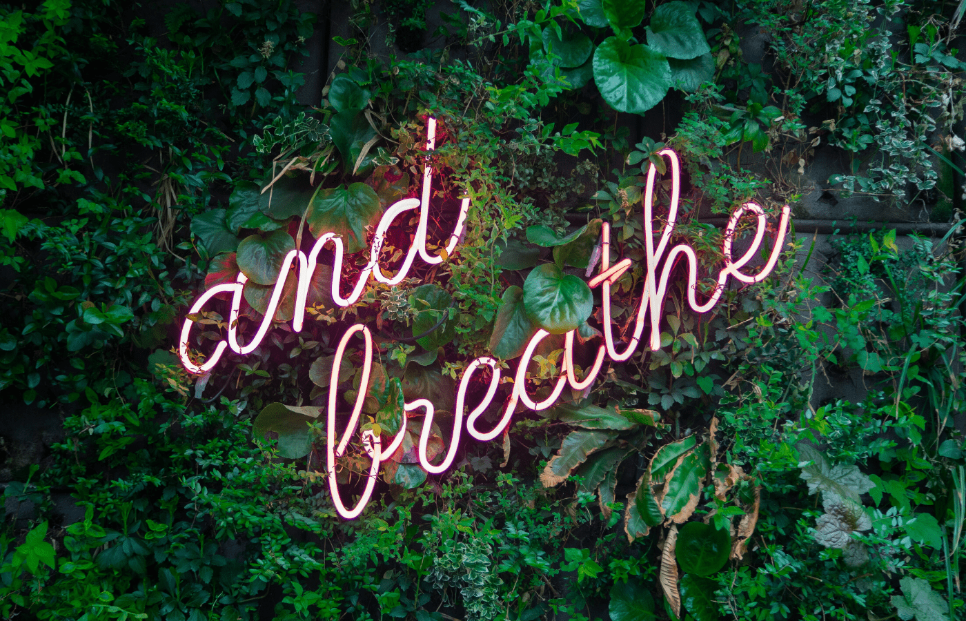 and breathe neon sign | stay calm