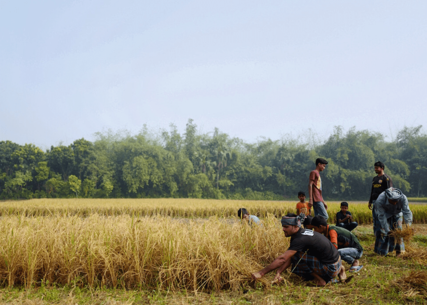 I Dream of Singapore | The Projector | rent a movie | Here’s how you can help migrant workers affected by the Covid-19 pandemic