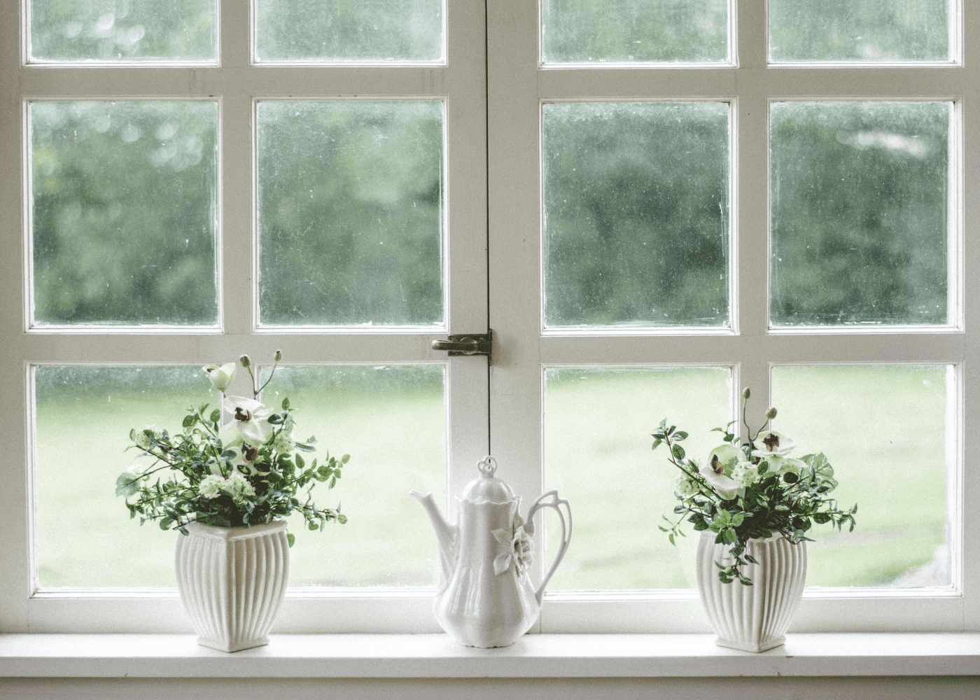plants | how to prevent dengue
