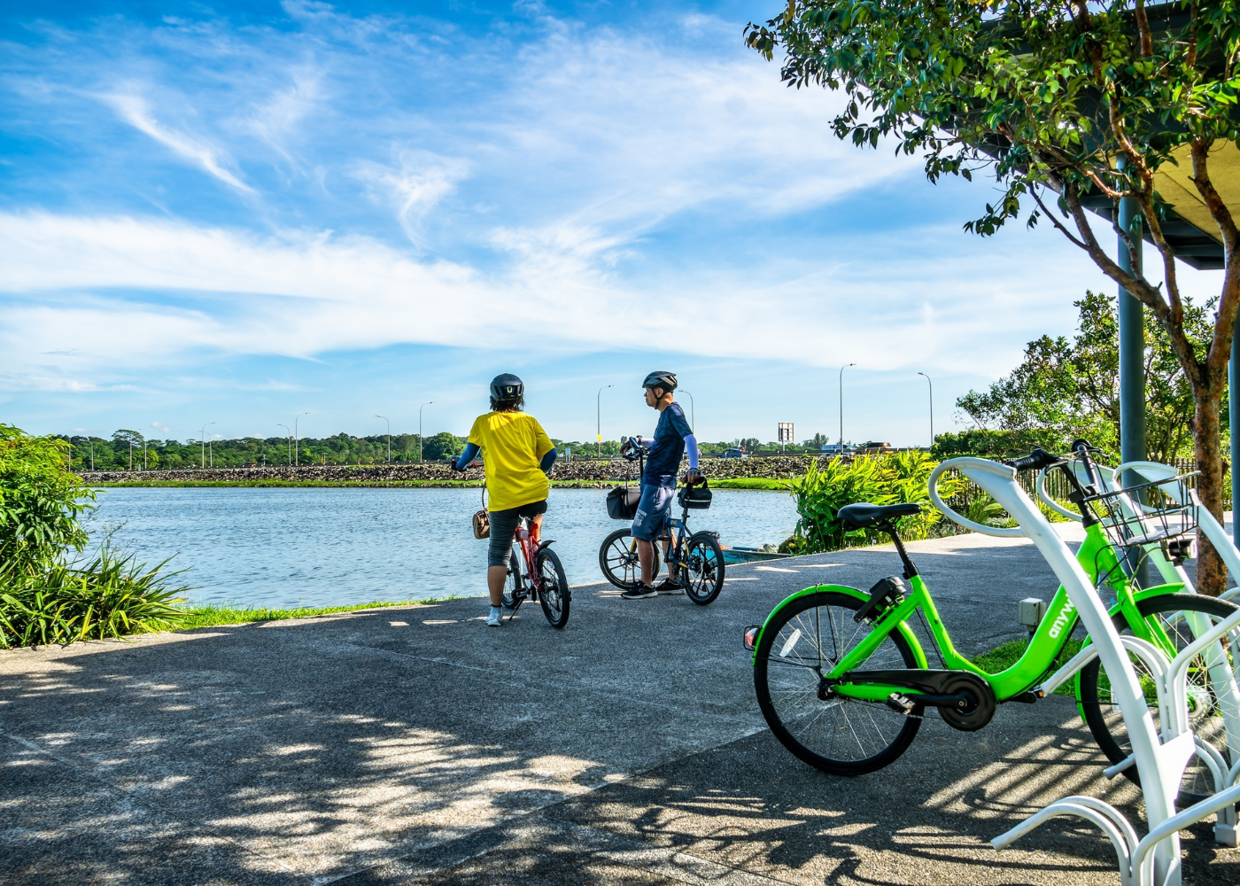 Cycling routes in Singapore 17 best bicycle trails and paths Honeycombers Singapore