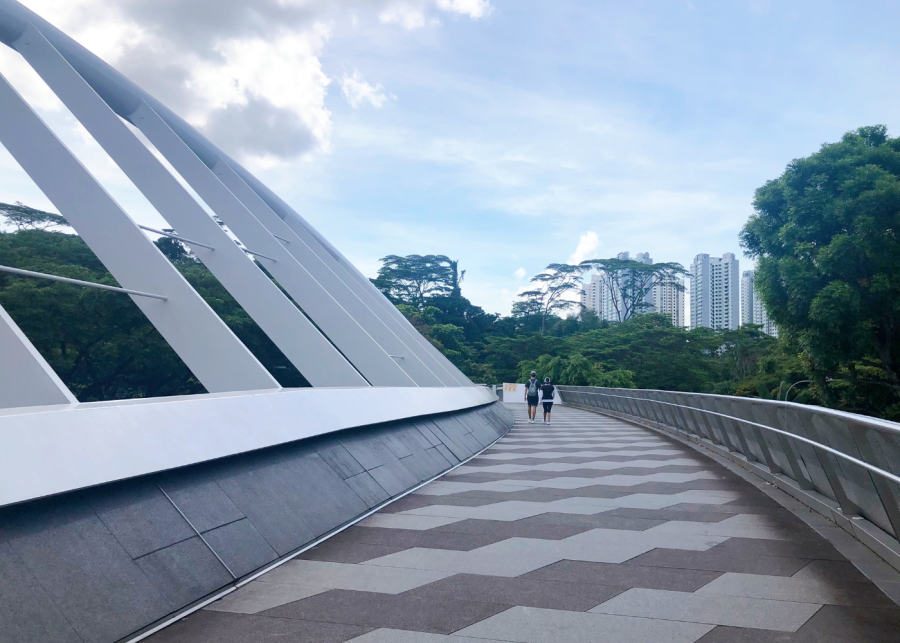 hiking in singapore | alexandra arch bridge