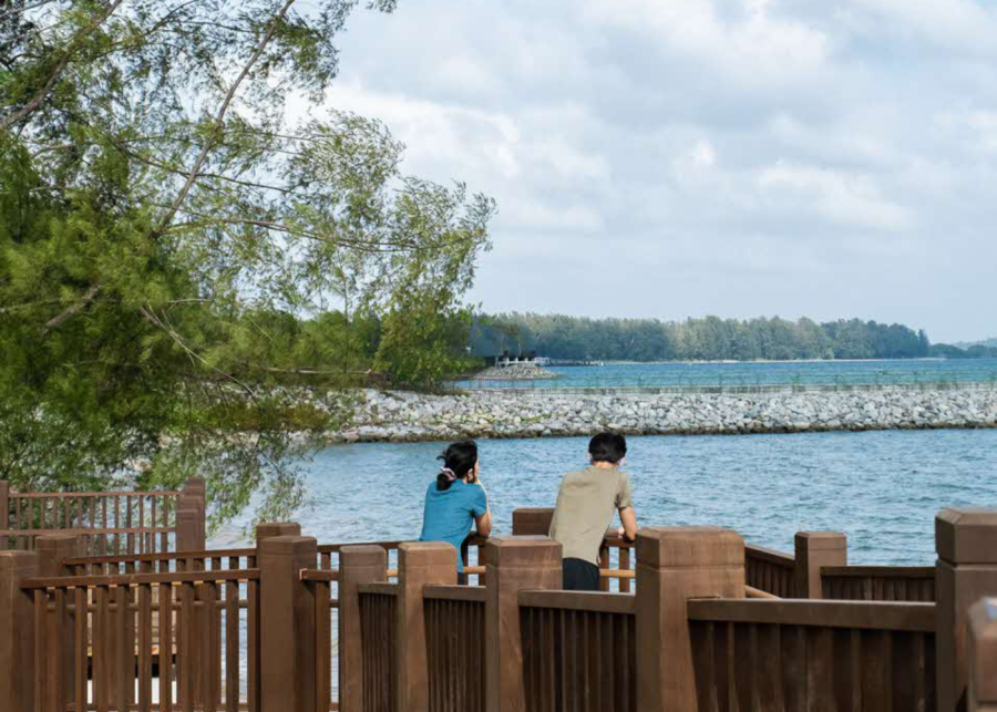 hiking in singapore | changi bay park connector