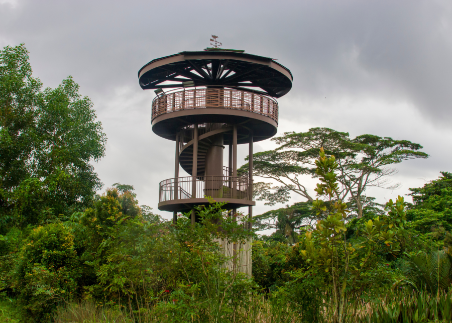 walking trails in singapore | kranji marshes