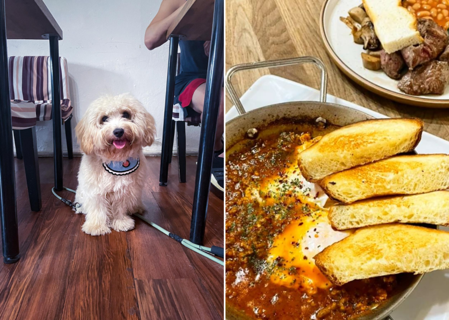 sun ray cafe - dog friendly cafe singapore
