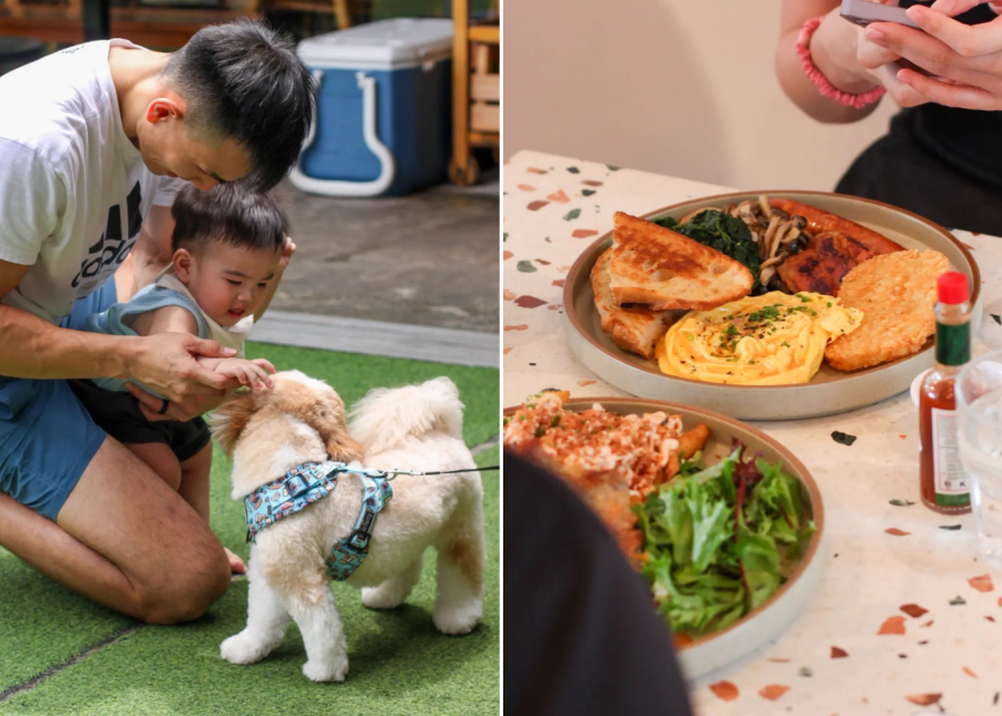 the brewing ground - dog-friendly cafe singapore