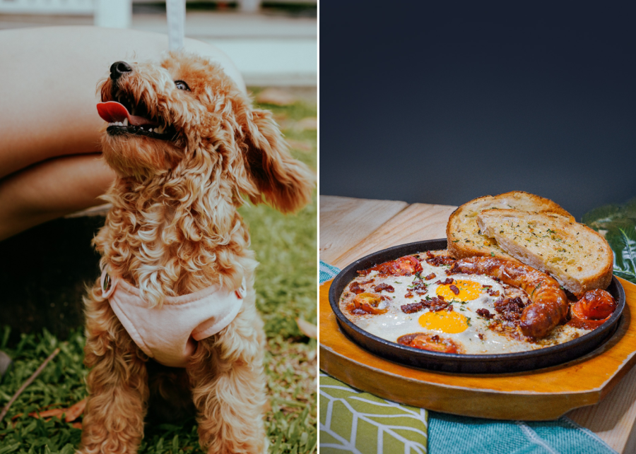 wheelers estate - dog friendly cafe singapore
