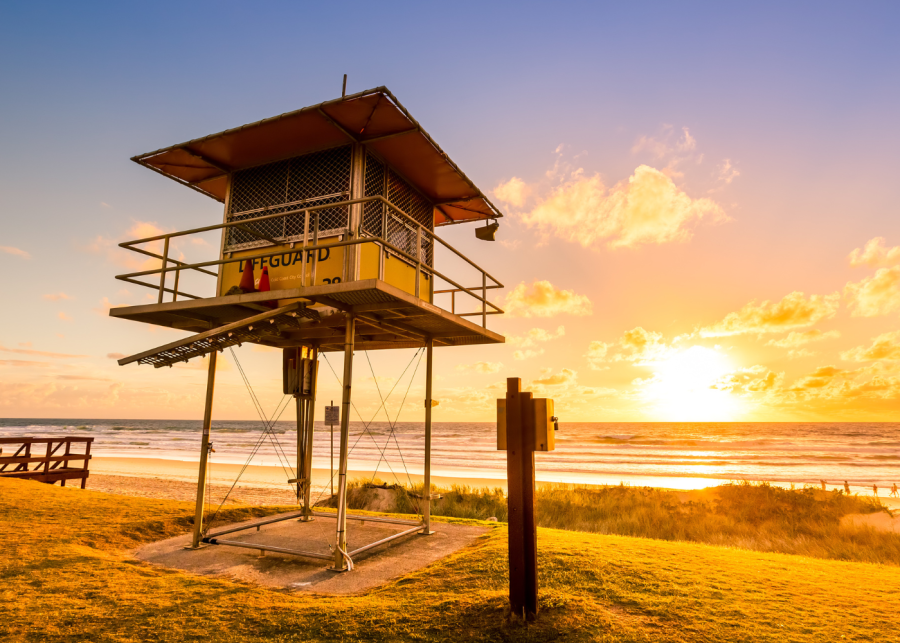 surfer's paradise