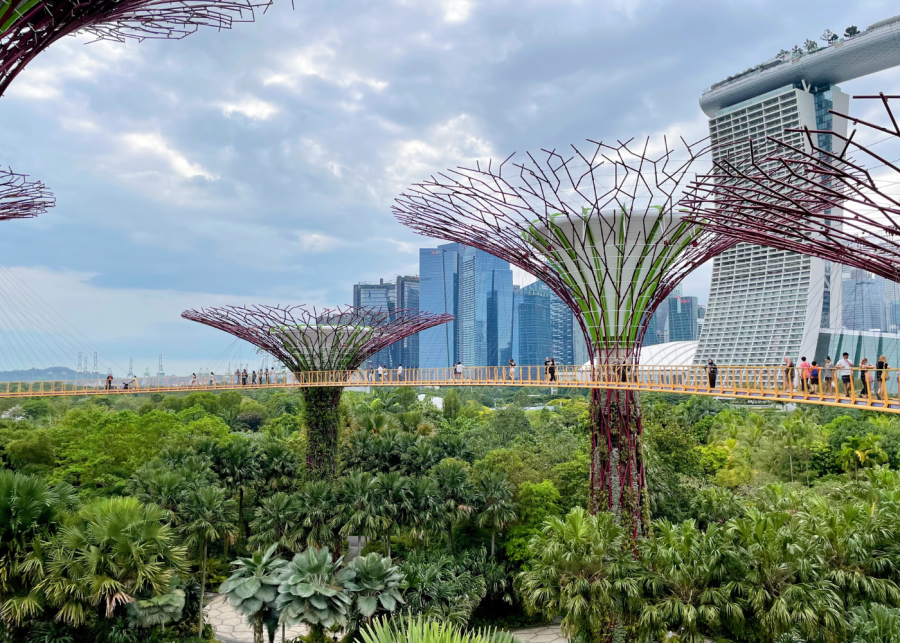 hiking in singapore | gardens by the bay supertree grove
