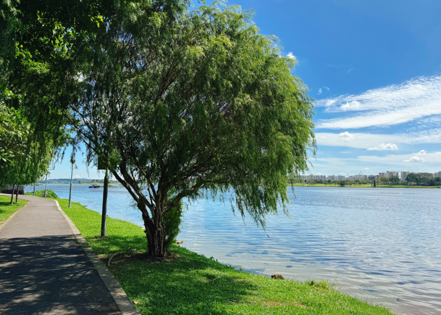 hiking in singapore | rowers bay park