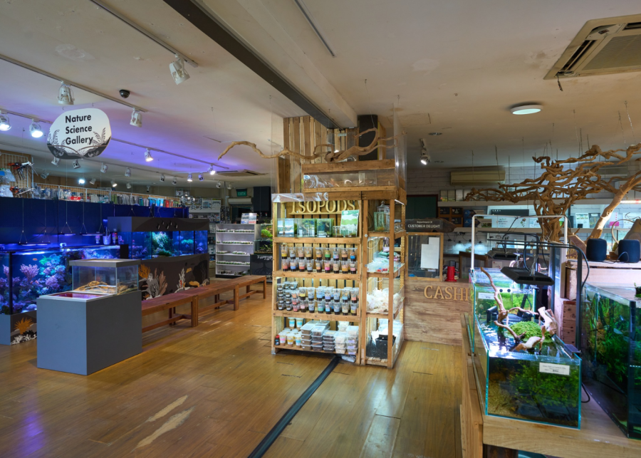 green chapter - aquarium shop in singapore macpherson