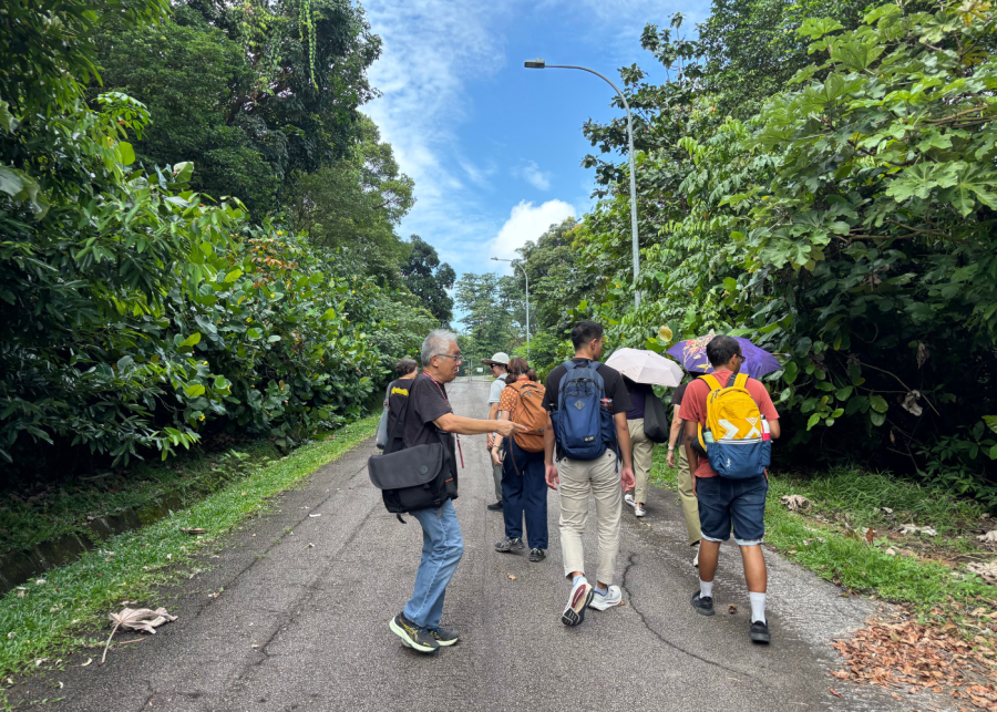 hawkins road refugee camp walking tour