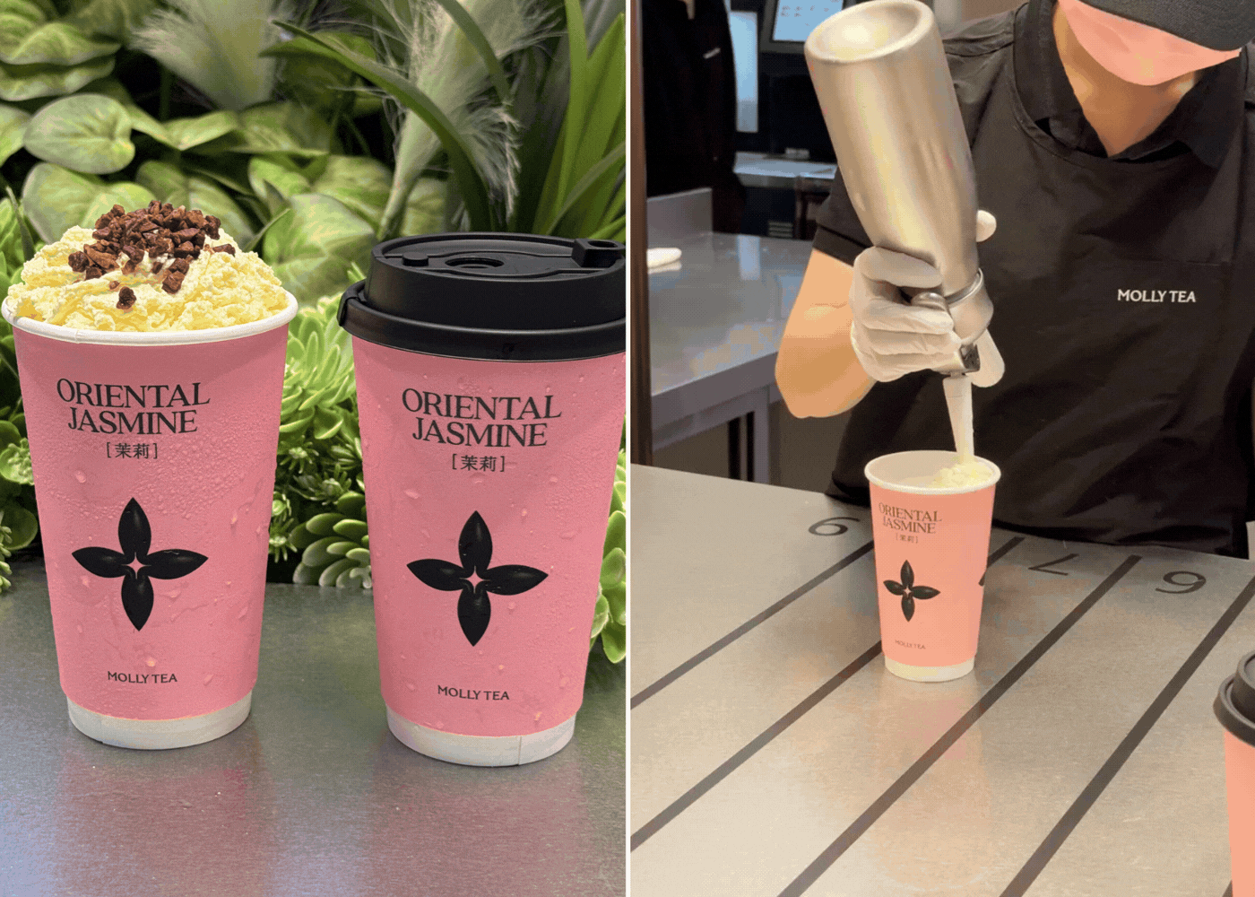 Snowy jasmine and premium jasmine milk tea molly tea singapore